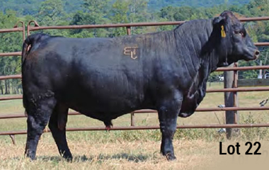 Lot 22 - TJB 914U MASTER PLAN 532C ET